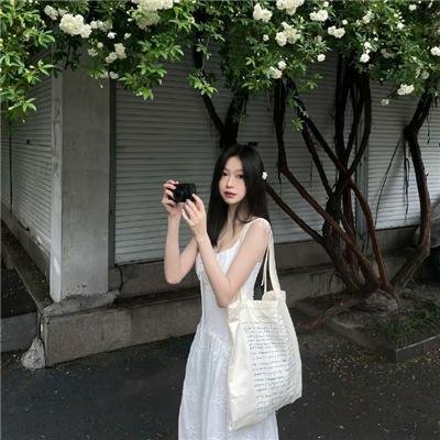 警花燕子